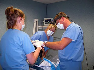 Dr. Bonacci and two of his surgical staff attending to a patient